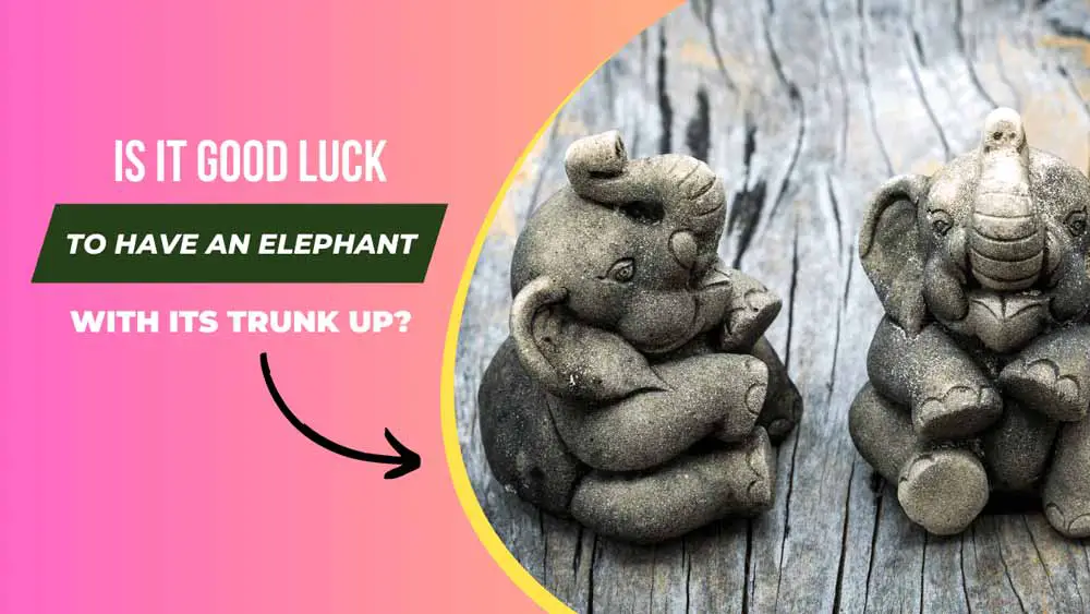 Is it Good Luck to Have an Elephant with Its Trunk Up