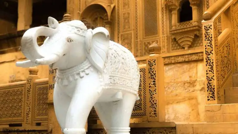 Is it Good Luck to Have an Elephant with Its Trunk Up? (The Symbolism ...