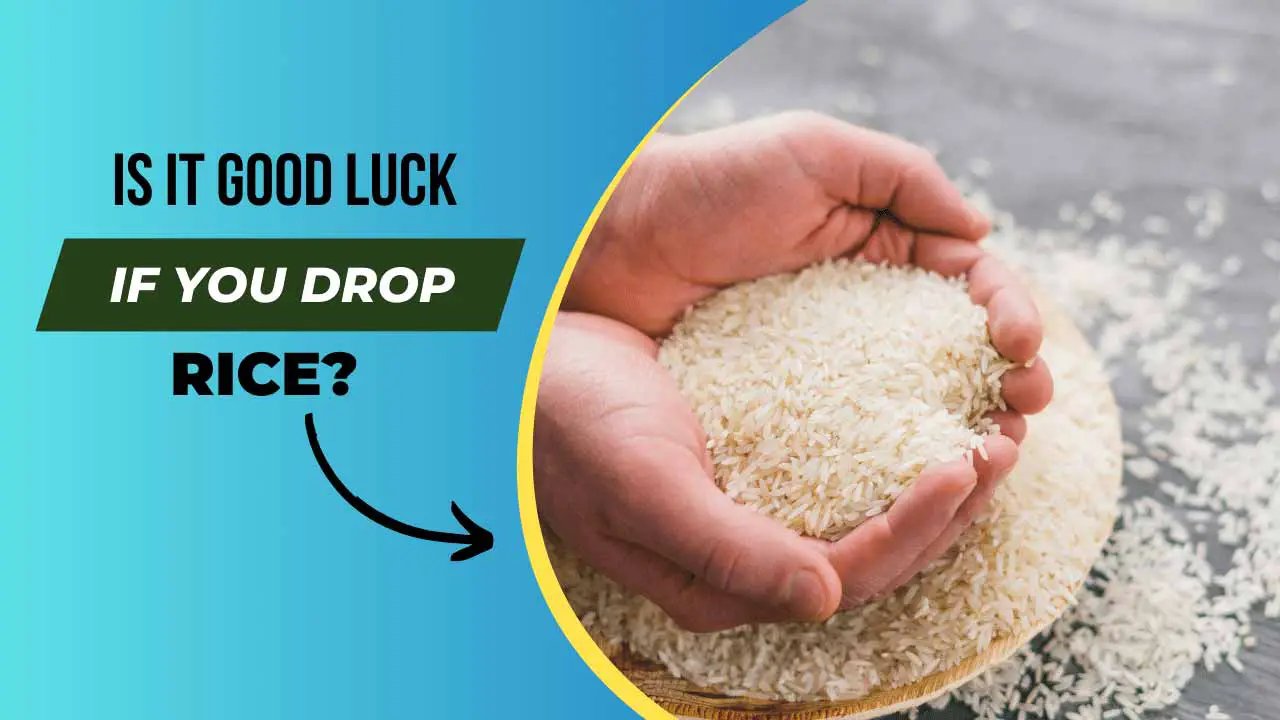 Is it Good Luck if you Drop Rice
