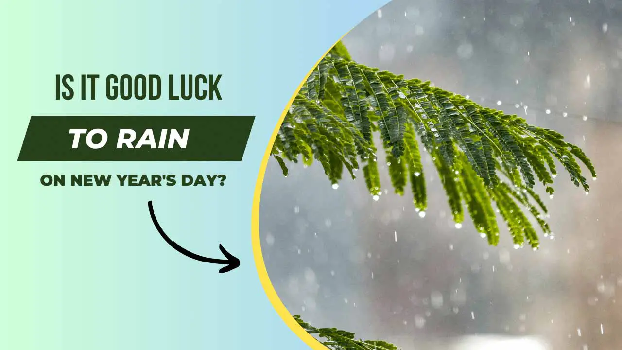 Is it Good Luck to Rain on New Years Day