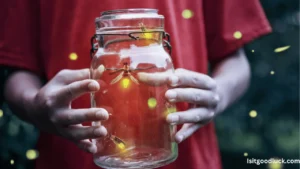 Is It Good Luck to Catch a Lightning Bug