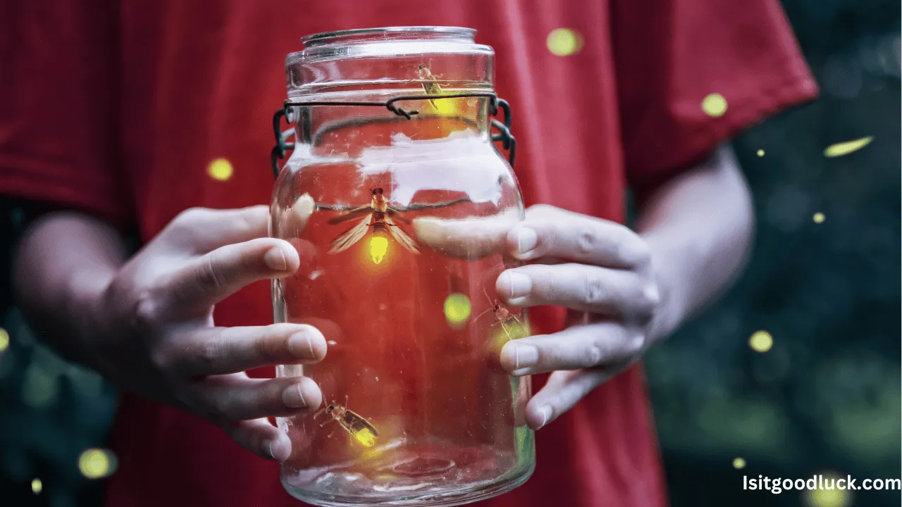 Is It Good Luck to Catch a Lightning Bug