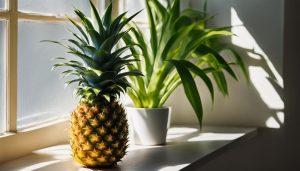 having a pineaple in the house good luck?