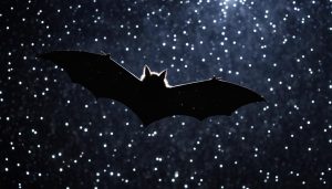 is it good luck if a bat poops on you