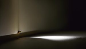 is it good luck to find a lightning bug in your house