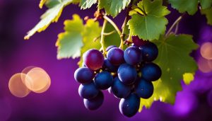 what color grapes for new year's good luck