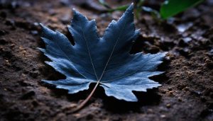 which leaf determines good luck if left out over night